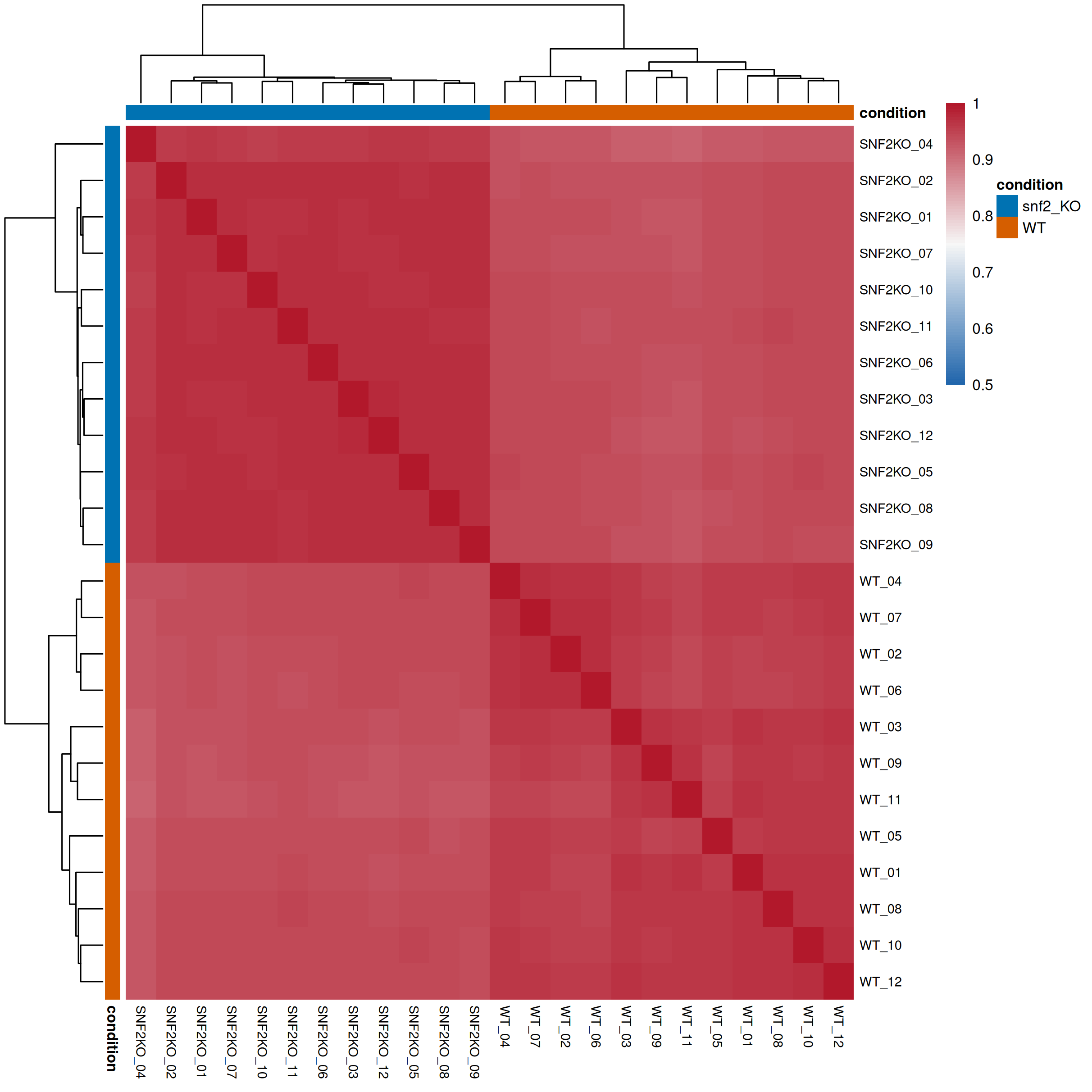 Sample correlation heatmap from the yeast de novo RNA-seq report