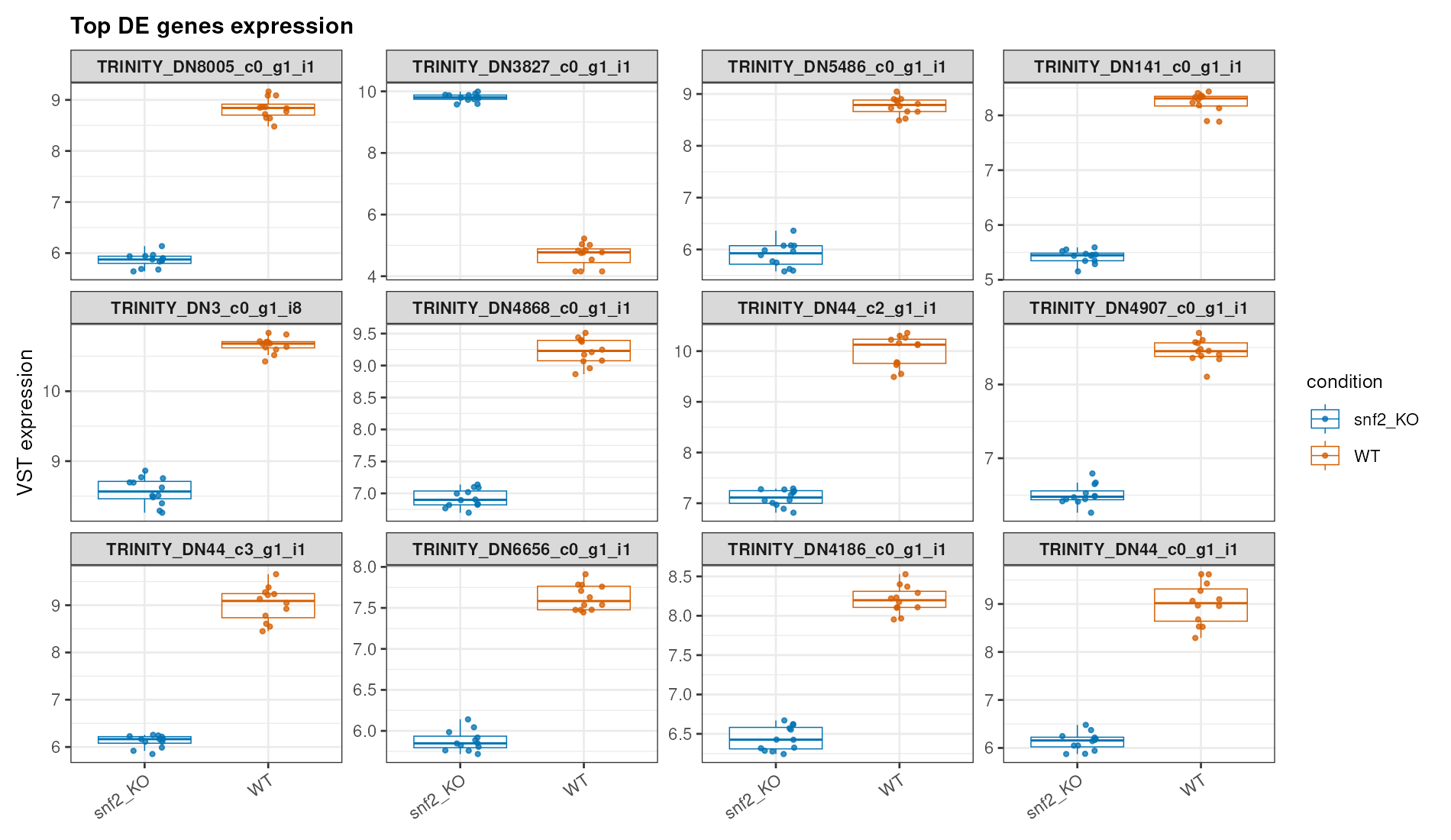 Top gene expression / Top 基因表达