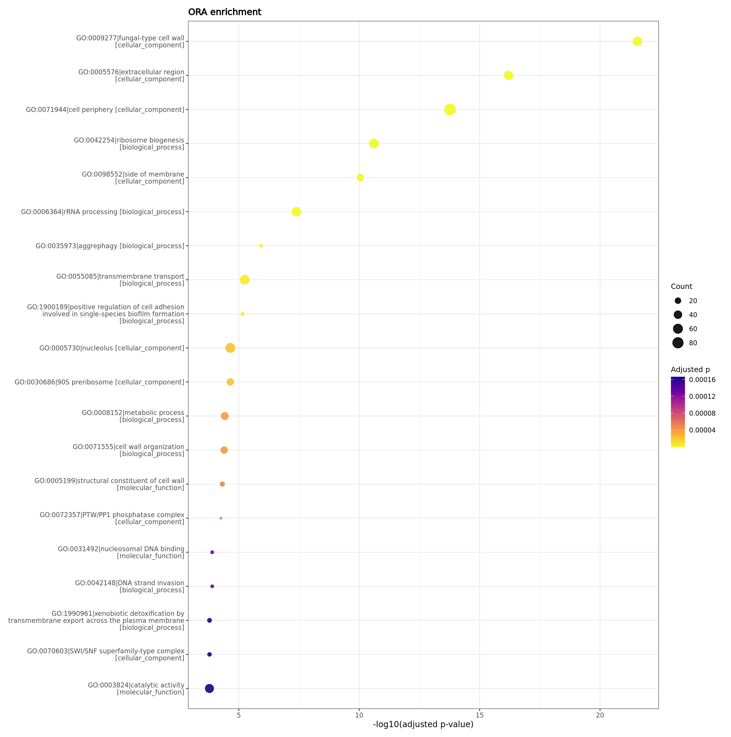 Enrichment dotplot from the de novo report