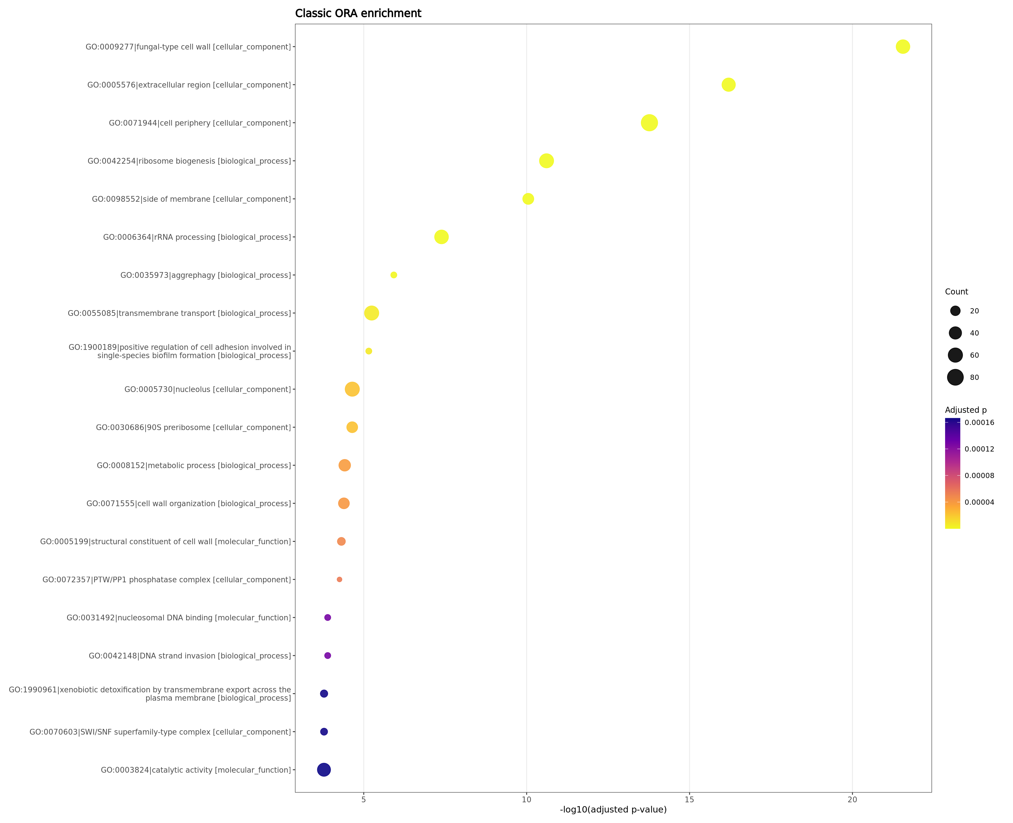 Classic enrichment dotplot / 经典富集气泡图
