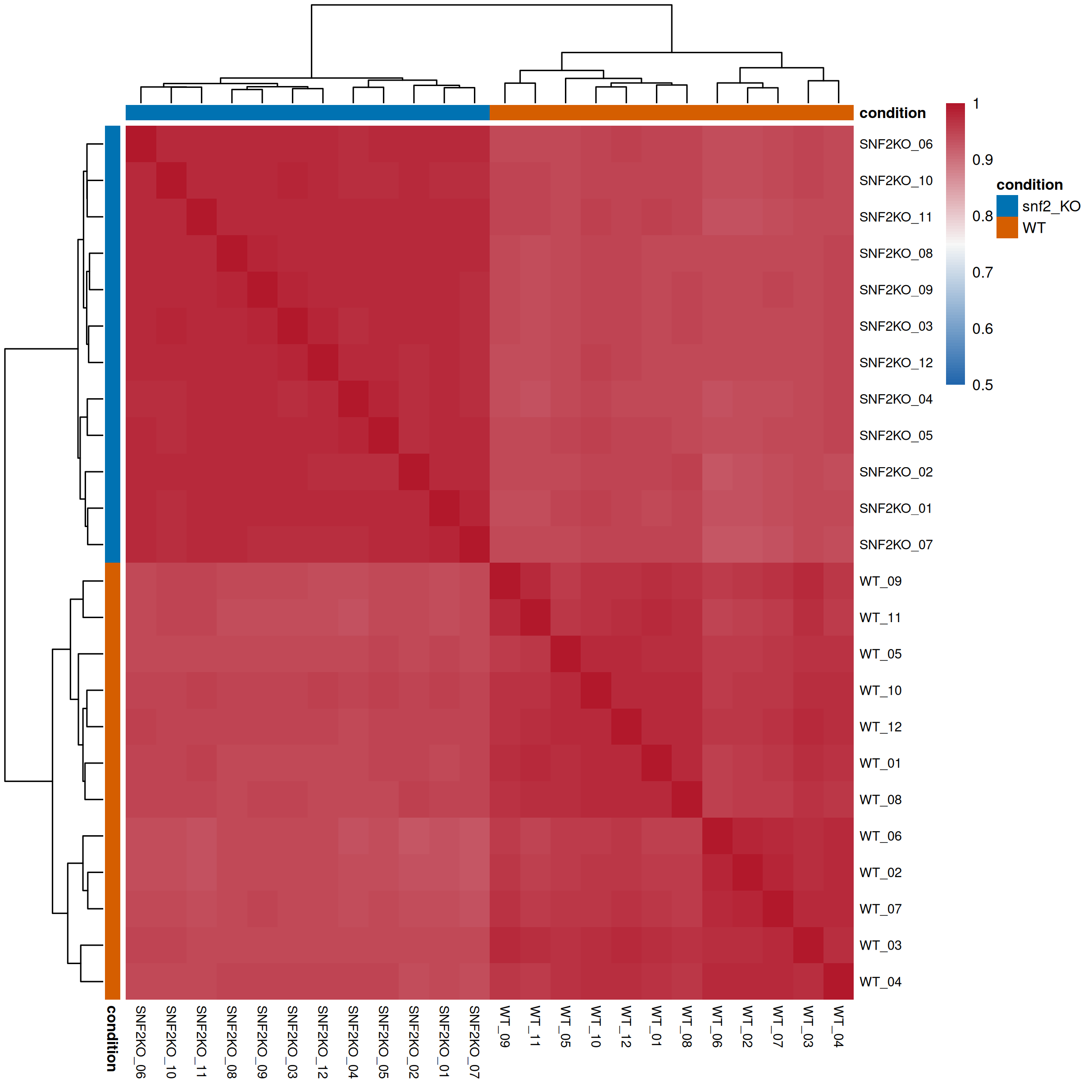 Sample correlation / 样本相关性