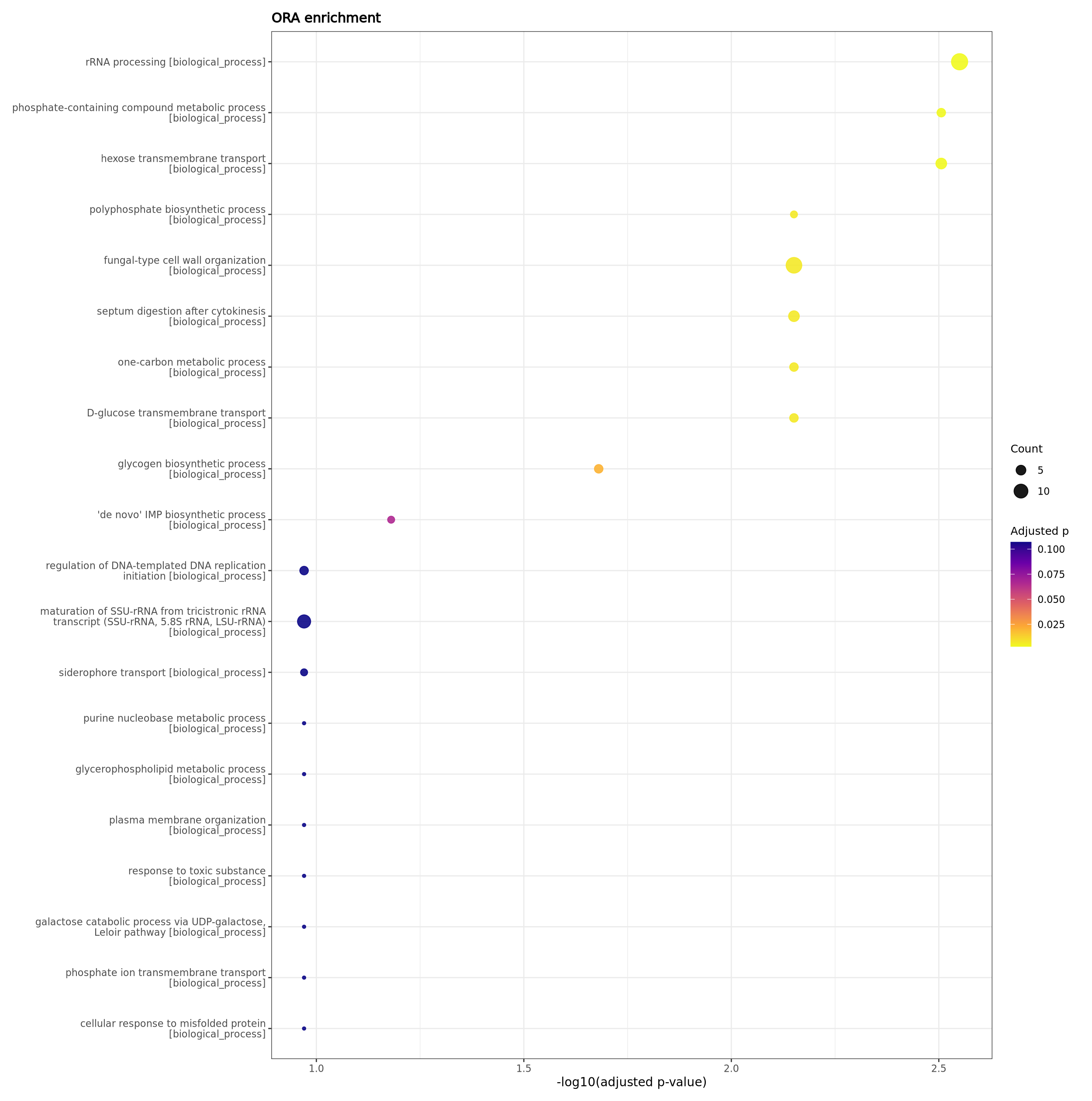 Readable enrichment dotplot / 可读富集气泡图