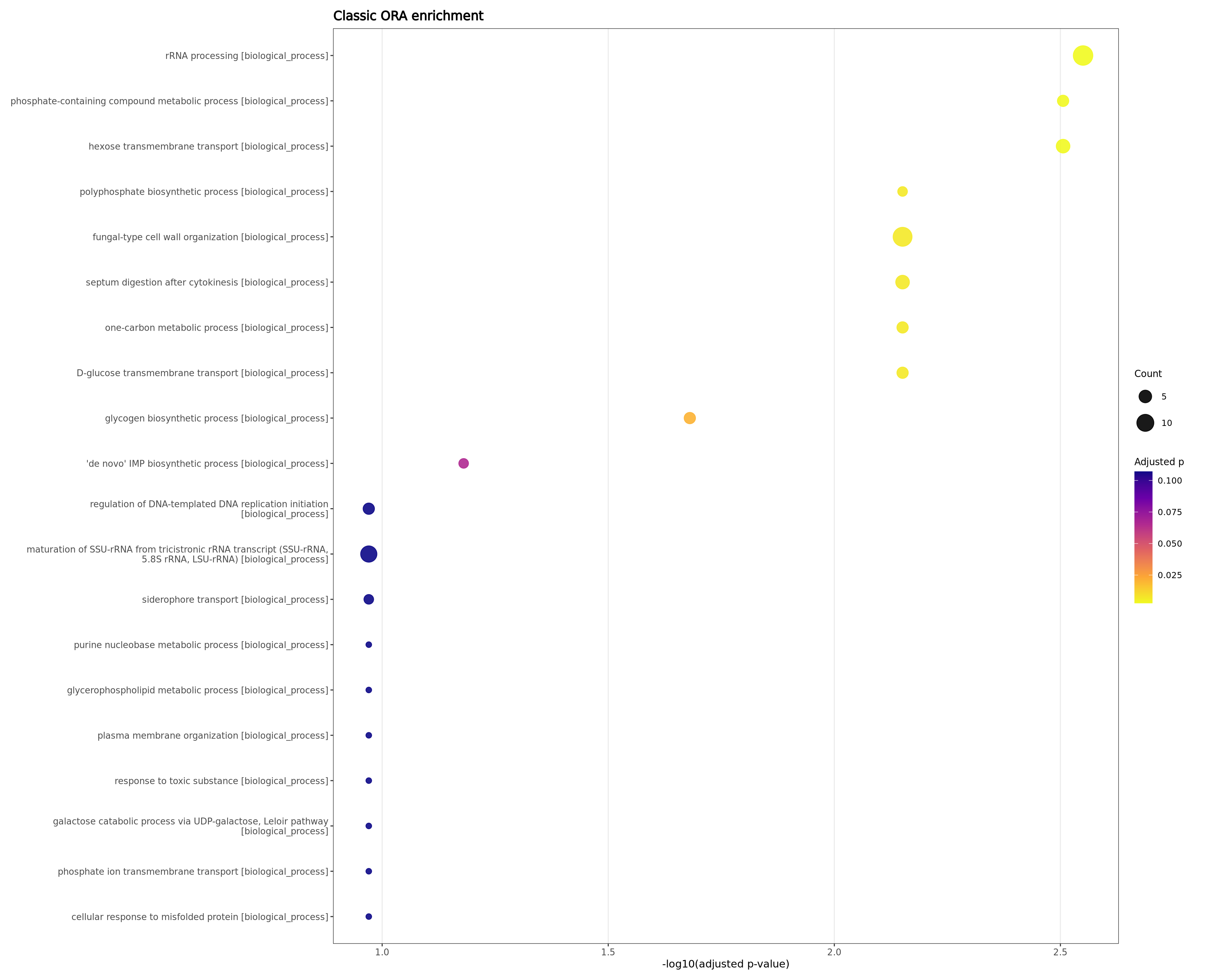 Classic enrichment dotplot / 经典富集气泡图